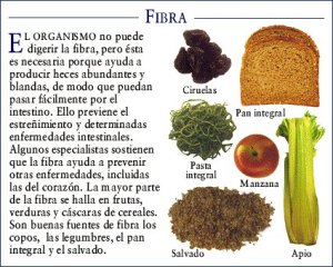 FIBRA (3